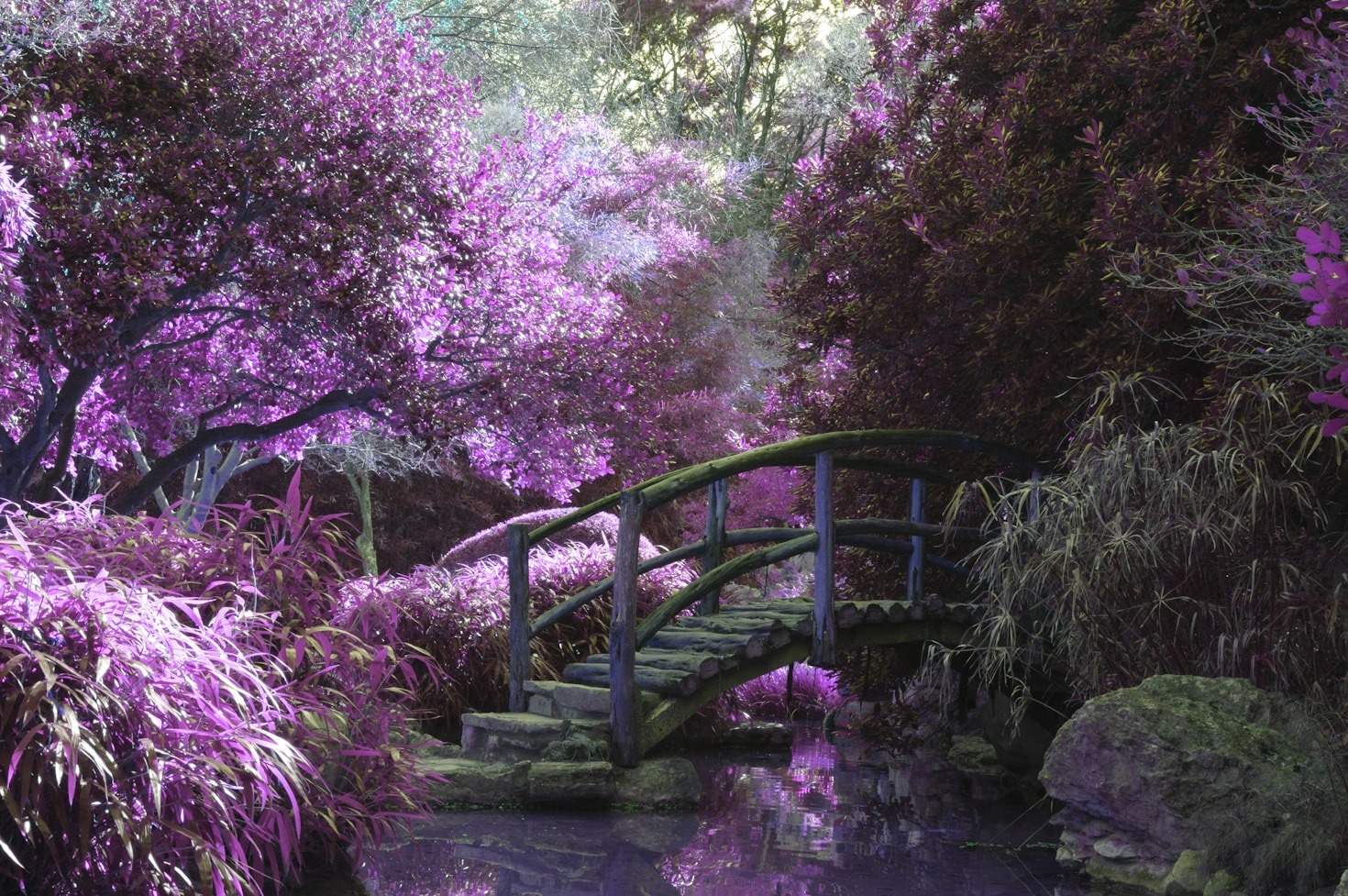 Romance and Transformation: A Unique Love Story
